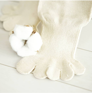 5本指ソックス1